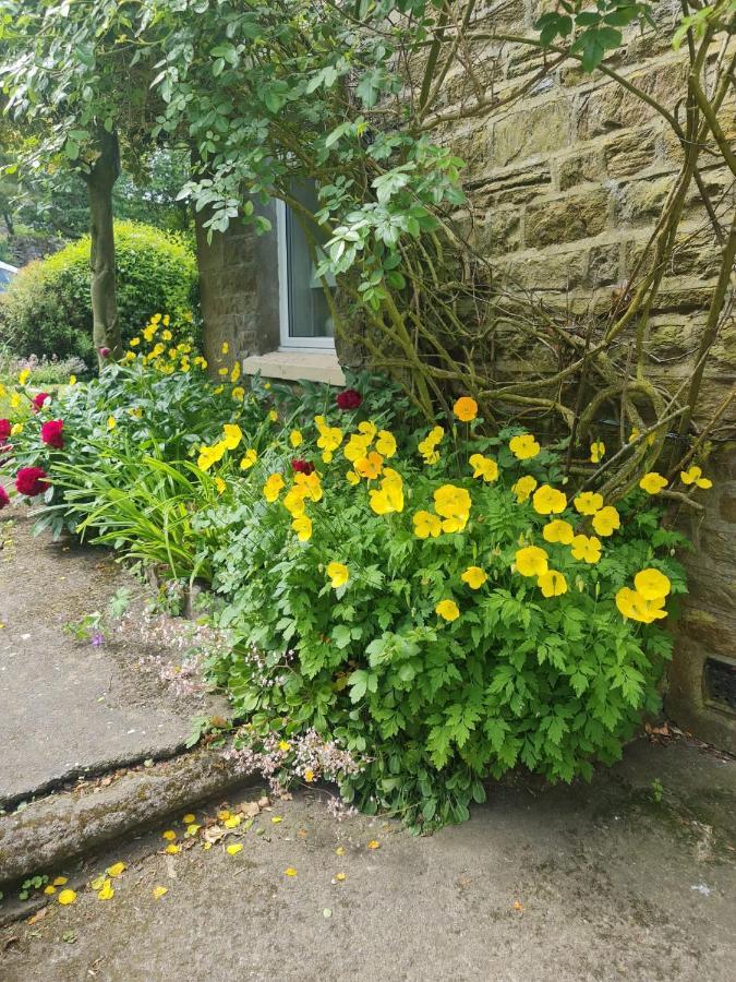 Mayfield Cottage Burtree Ford エクステリア 写真